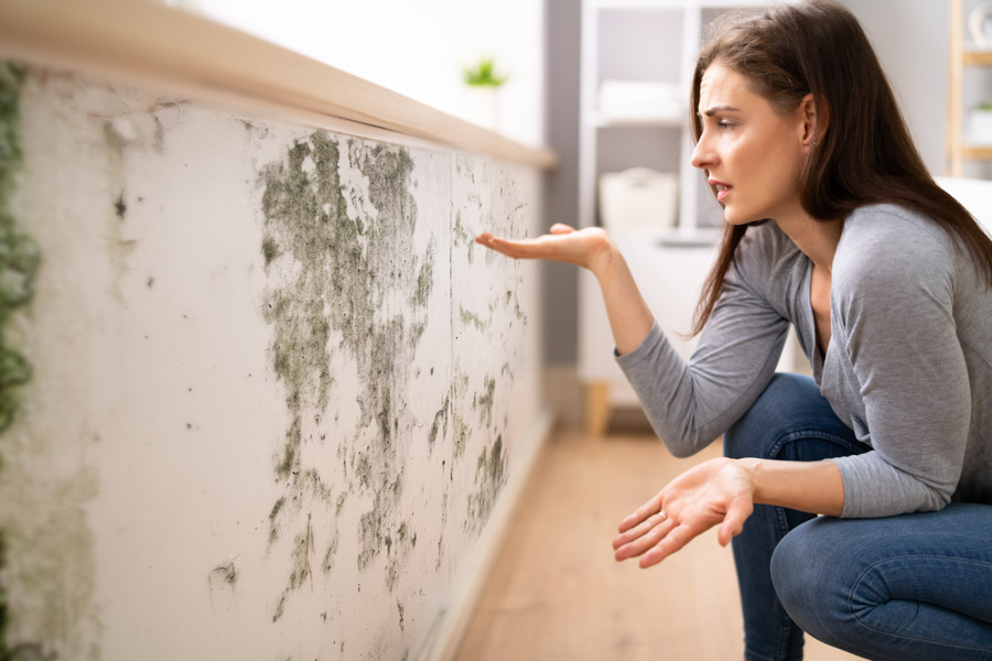 Eine Frau ärgert sich über den Schimmel an ihrer Wand